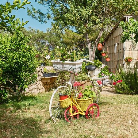 Apartments With A Parking Space Cunski, Losinj - 7867 Екстериор снимка